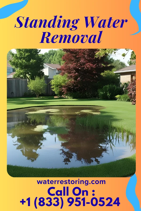 Standing Water Removal in Chautauqua, KS